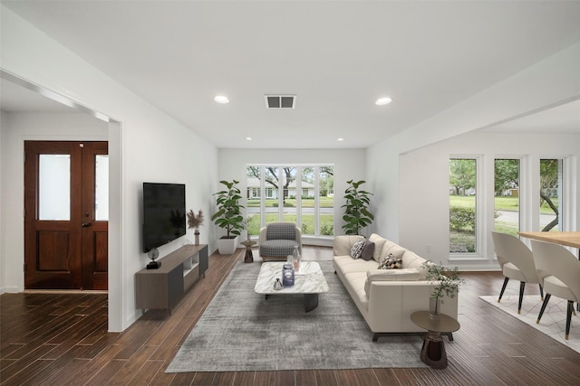 living room featuring dark wood-type flooring