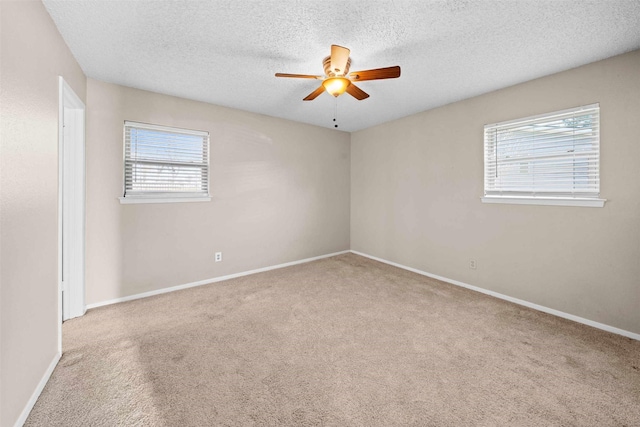 empty room with light colored carpet, plenty of natural light, and a textured ceiling