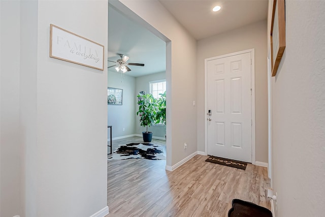 entrance foyer with ceiling fan and light wood-type flooring