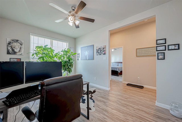 office space with ceiling fan and light wood-type flooring