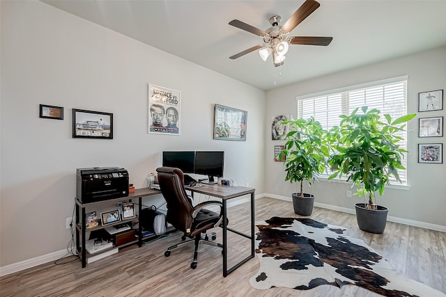 office area with ceiling fan and light hardwood / wood-style flooring