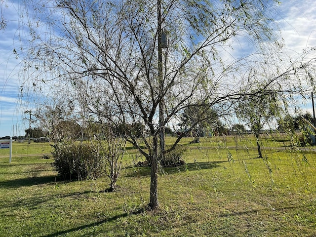 view of yard with a rural view