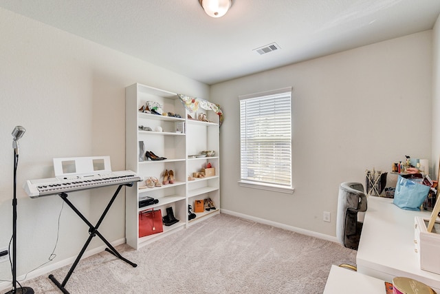 miscellaneous room with light colored carpet