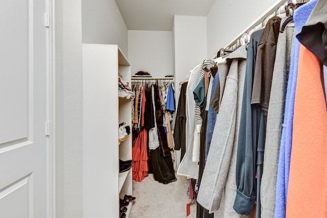 spacious closet with carpet floors