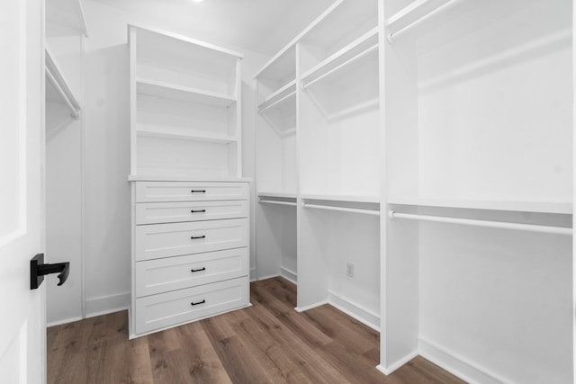 walk in closet featuring dark hardwood / wood-style flooring