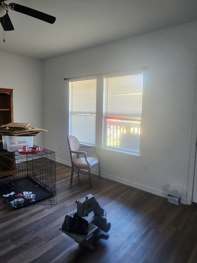 miscellaneous room featuring ceiling fan and dark hardwood / wood-style flooring