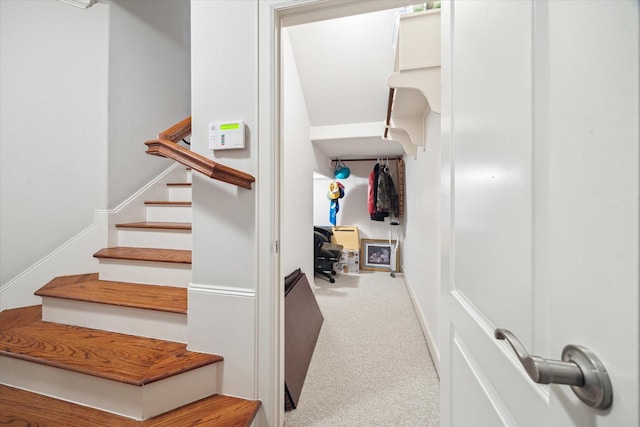 staircase with carpet floors