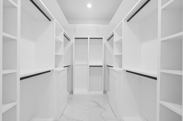 view of walk in closet