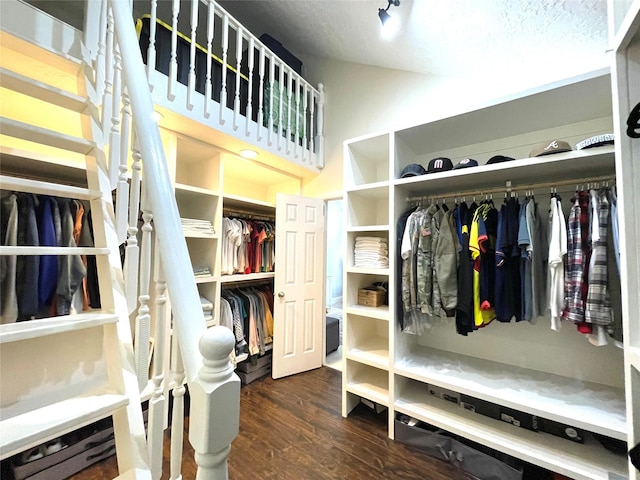 walk in closet featuring dark wood-type flooring