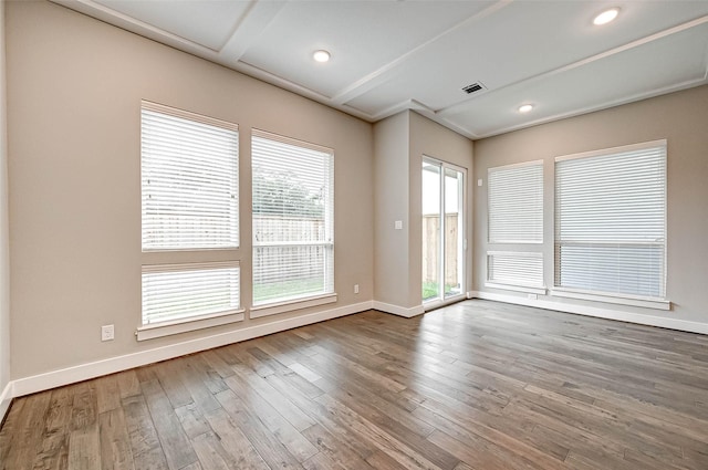 empty room featuring wood-type flooring