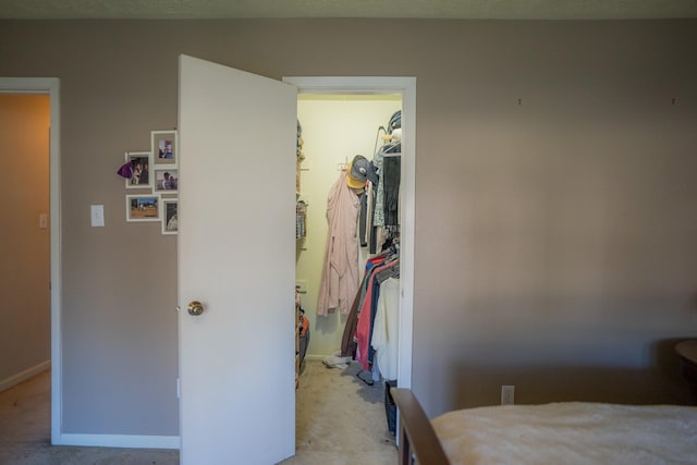 bedroom featuring a spacious closet, light carpet, and a closet