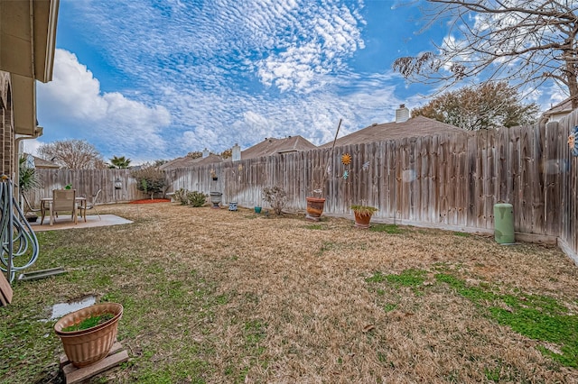 view of yard featuring a patio area