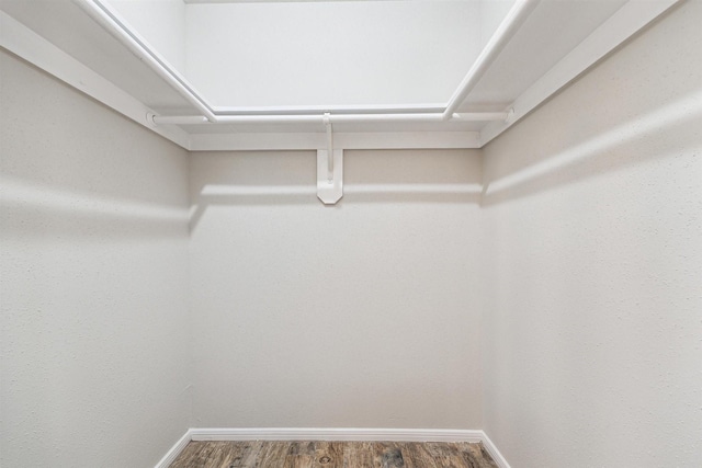 spacious closet with wood-type flooring