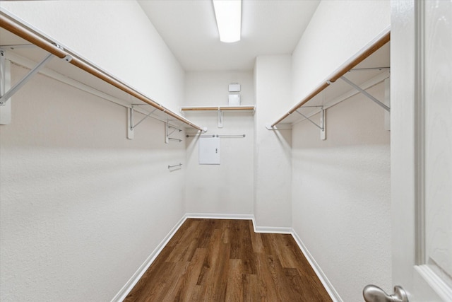 walk in closet featuring wood finished floors