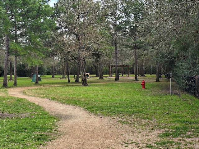 surrounding community featuring dirt driveway and a lawn