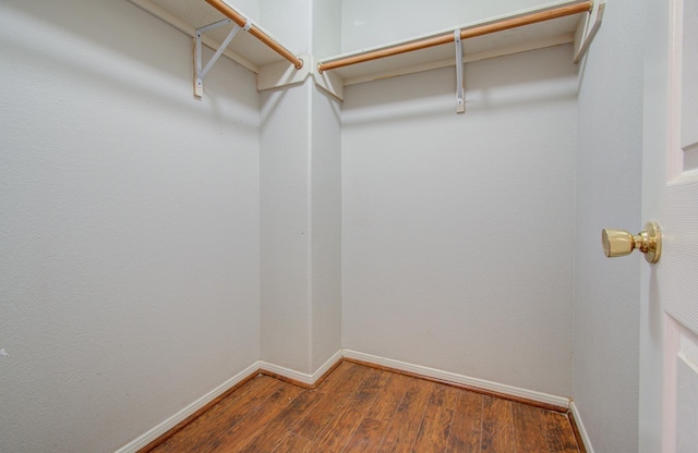 spacious closet with hardwood / wood-style flooring