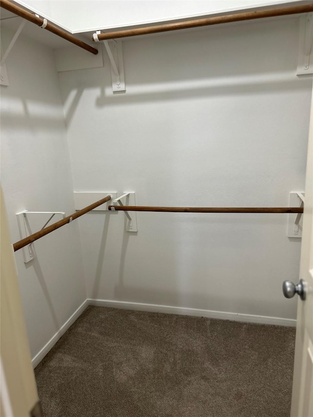 spacious closet with dark colored carpet