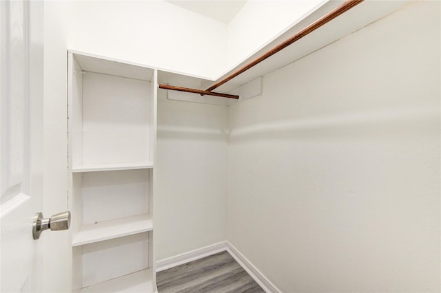 spacious closet with hardwood / wood-style floors