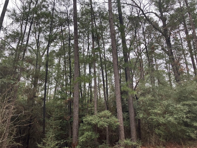 Listing photo 3 for TBD Little Ponderosa Dr, Onalaska TX 77360