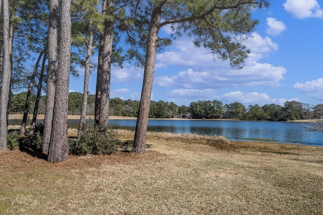 property view of water