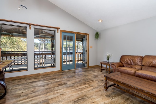 living room with lofted ceiling and wood-type flooring