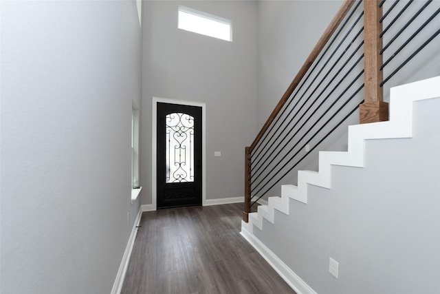 foyer featuring a towering ceiling and dark hardwood / wood-style floors