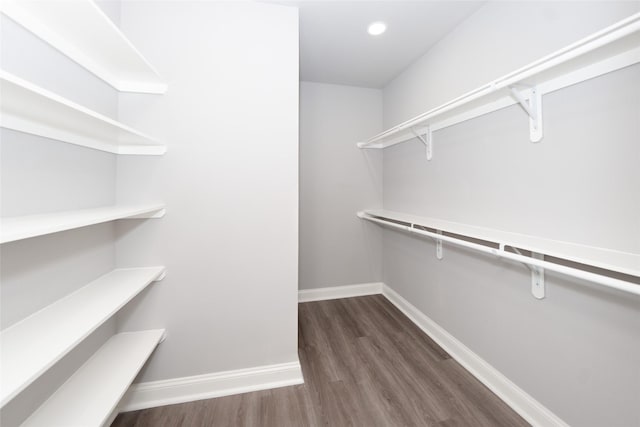 walk in closet featuring dark hardwood / wood-style floors