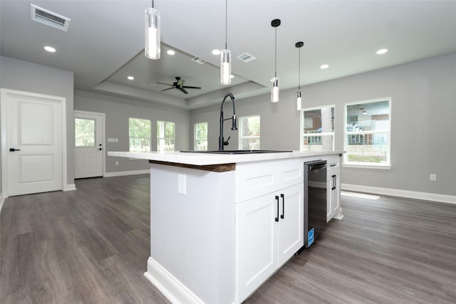 kitchen with sink, hanging light fixtures, a center island with sink, a tray ceiling, and white cabinets