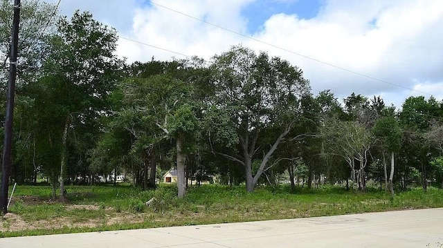 Listing photo 3 for 4606 Cottonwood Run, Alvin TX 77511