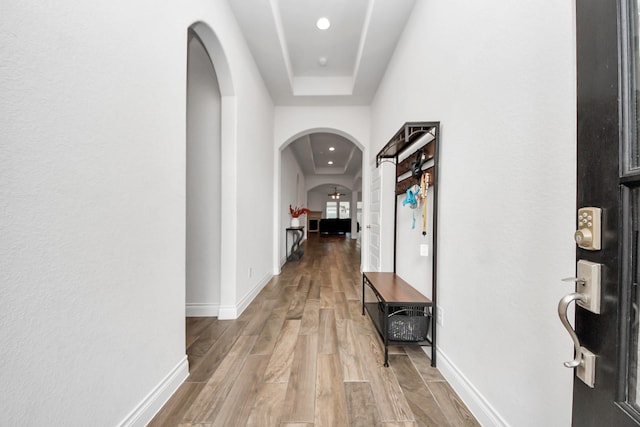 hall featuring a tray ceiling and hardwood / wood-style floors