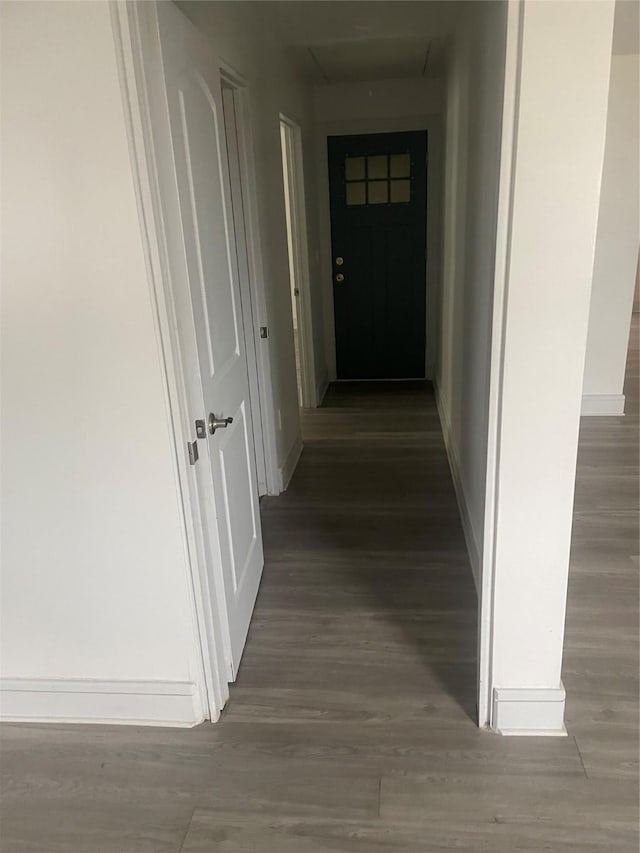 hall with dark hardwood / wood-style flooring