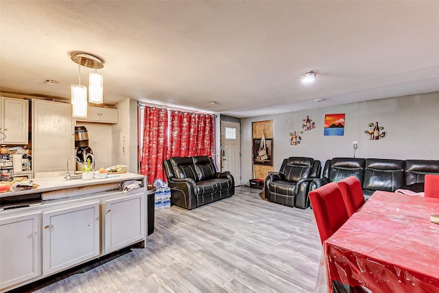 living room with light wood-type flooring