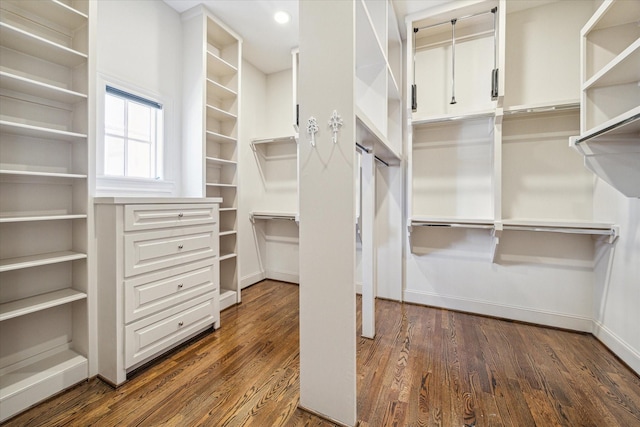 spacious closet with dark wood-type flooring