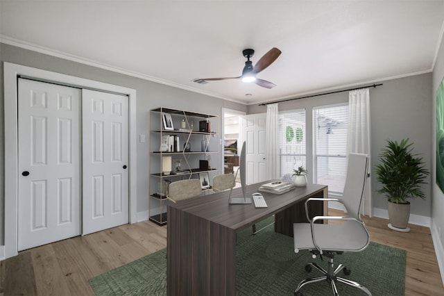 office space featuring crown molding, ceiling fan, and light wood-type flooring