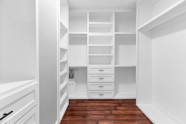 walk in closet featuring dark hardwood / wood-style floors