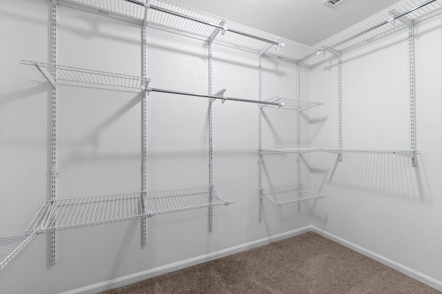 spacious closet with carpet flooring