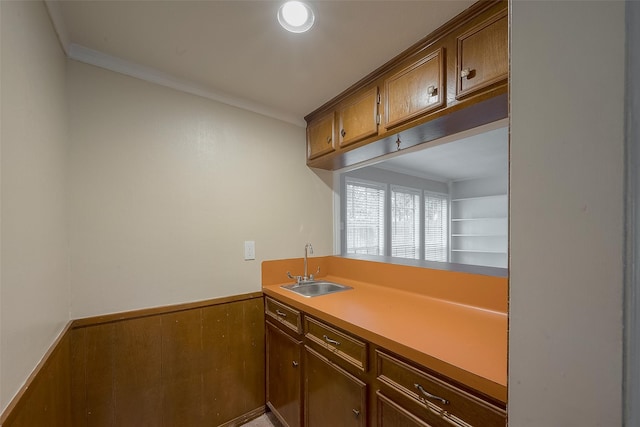 kitchen featuring crown molding and sink