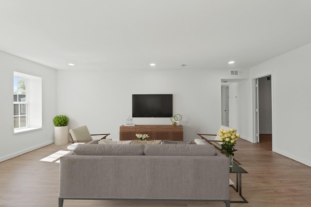 living room featuring hardwood / wood-style floors