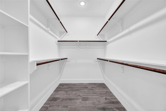 spacious closet with wood-type flooring