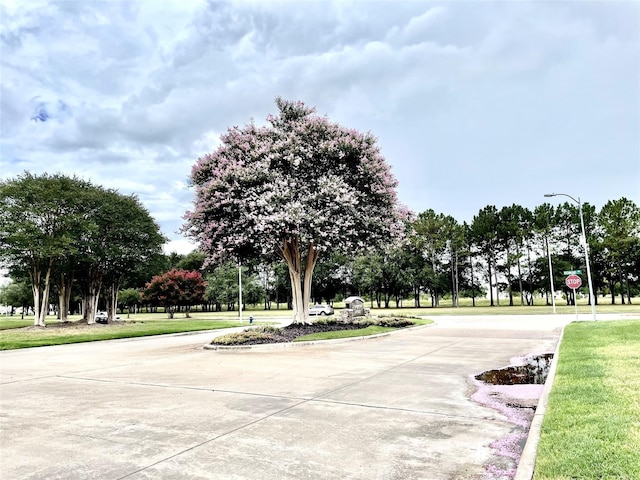 view of home's community featuring driveway and a lawn