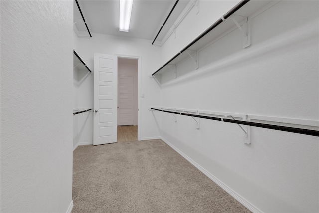 walk in closet with light colored carpet