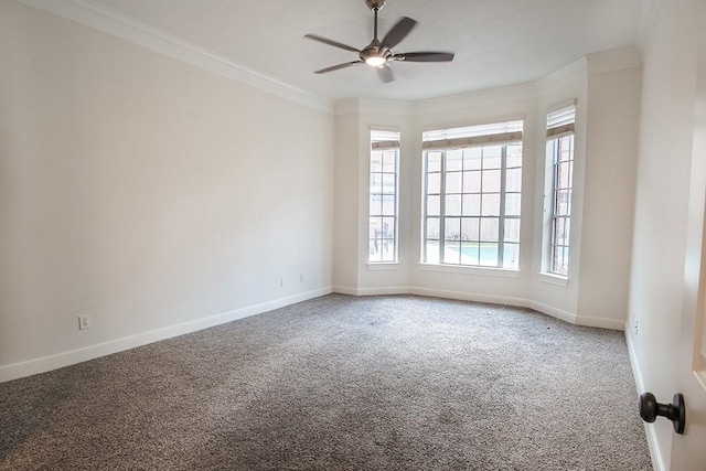 spare room featuring ornamental molding, ceiling fan, and carpet flooring