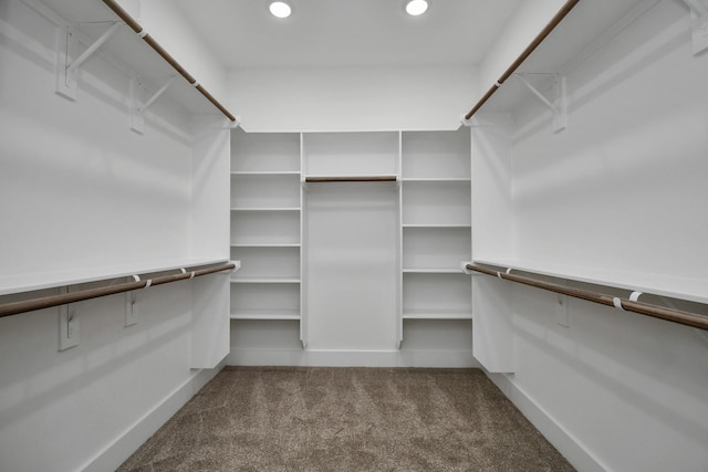 walk in closet with carpet flooring