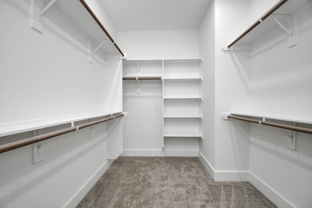 spacious closet featuring light colored carpet