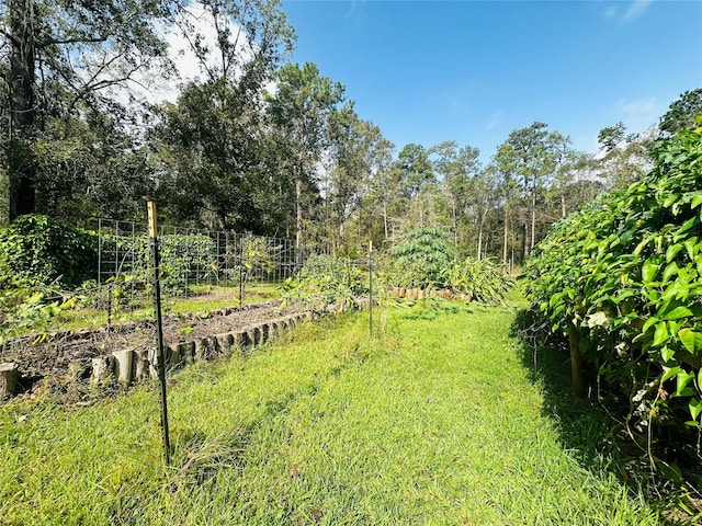 view of yard with a vegetable garden