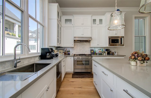 kitchen with sink, white cabinetry, range hood, stainless steel appliances, and decorative backsplash