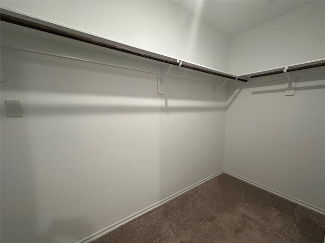 spacious closet with carpet floors