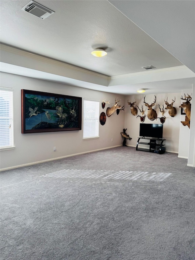 interior space with carpet flooring, a textured ceiling, and a tray ceiling