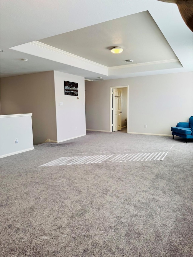 interior space with a raised ceiling and carpet floors