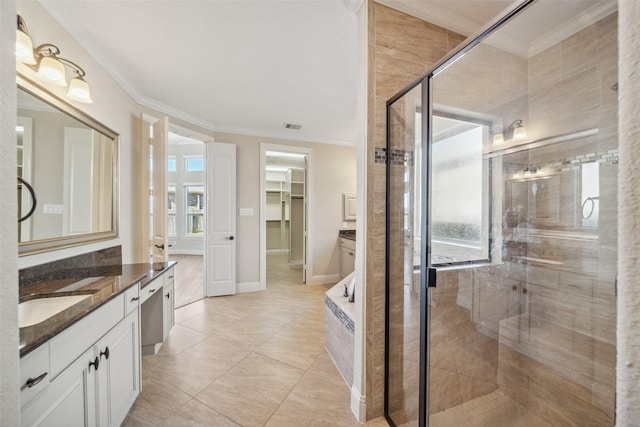 bathroom featuring crown molding, plenty of natural light, walk in shower, and vanity